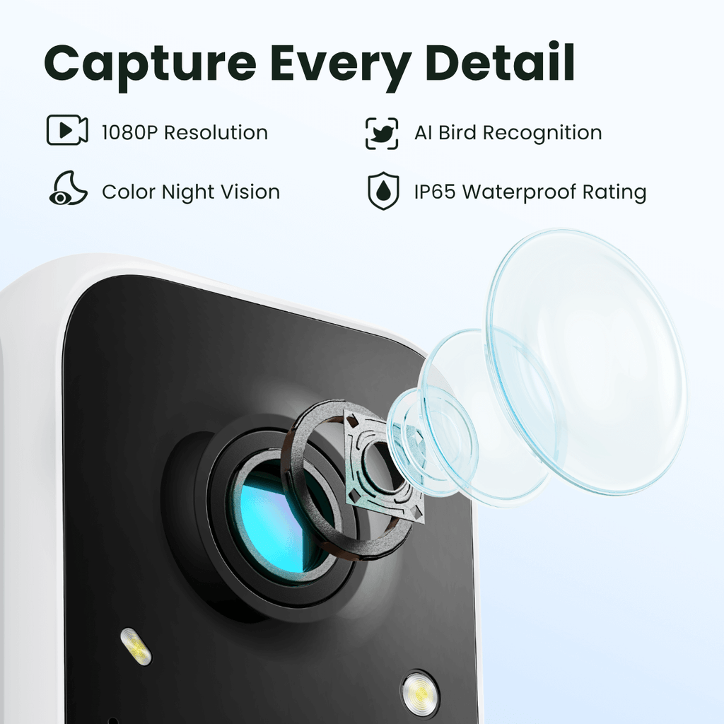 Birdfy Smart Feeder -  Limited Father's Day Gift Set
