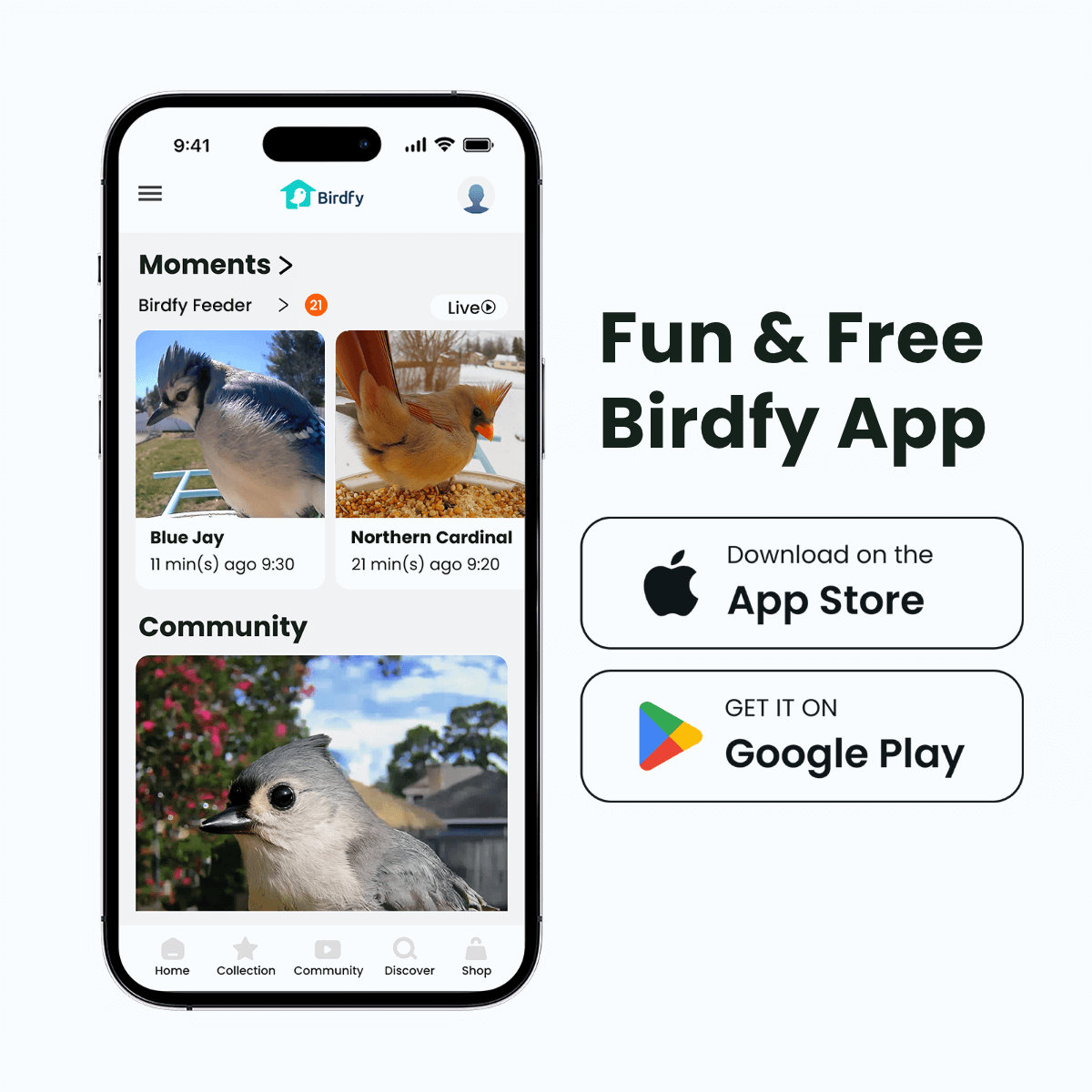 Birdfy Feeder - Smart Bird Feeder with Camera Standard Kit