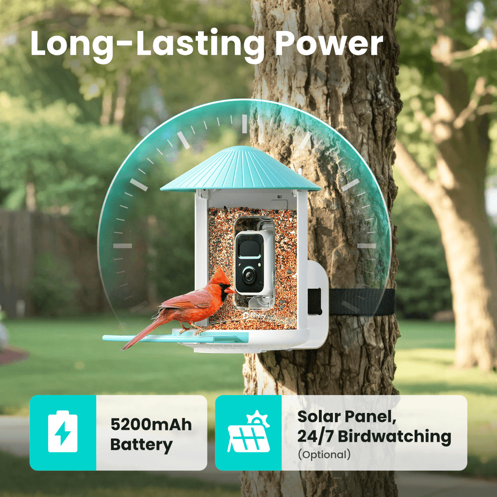 Birdfy Feeder - AI-Powered Smart Bird Feeder with Camera-Yellow