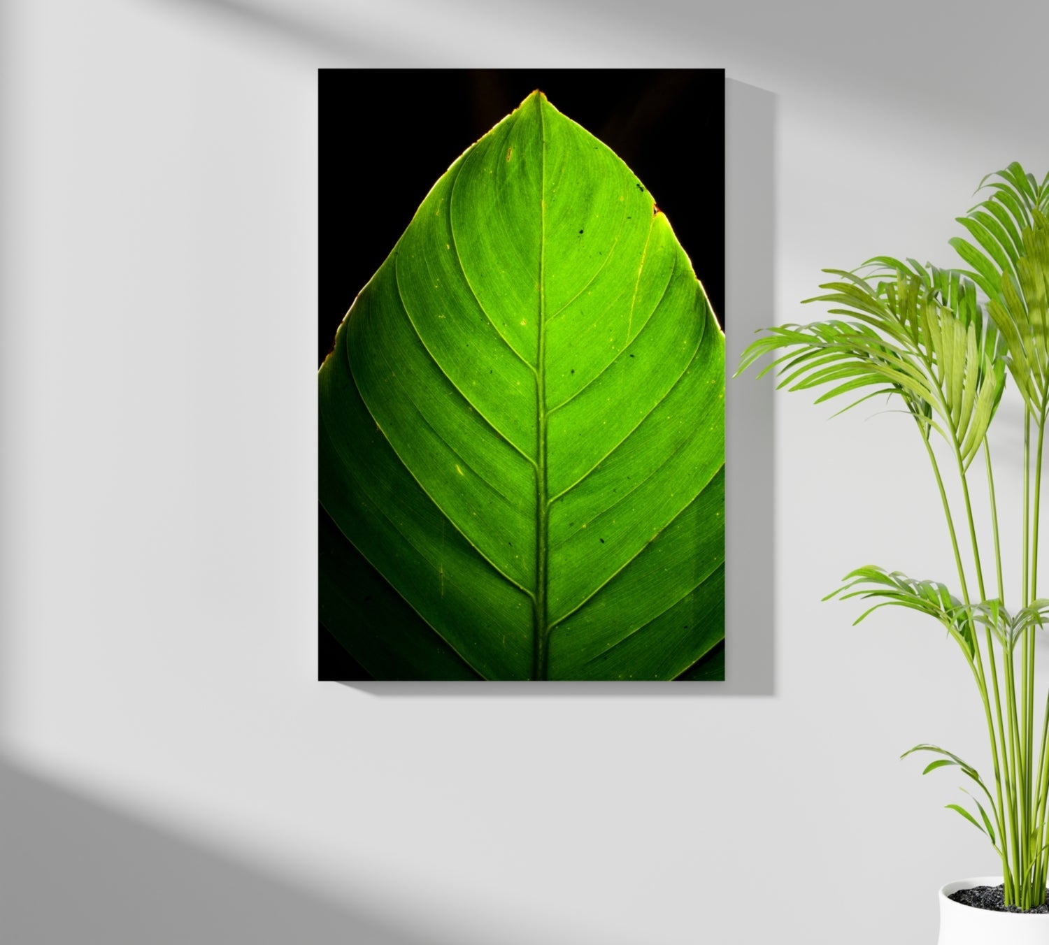 Green Leaf Aluminum Print
