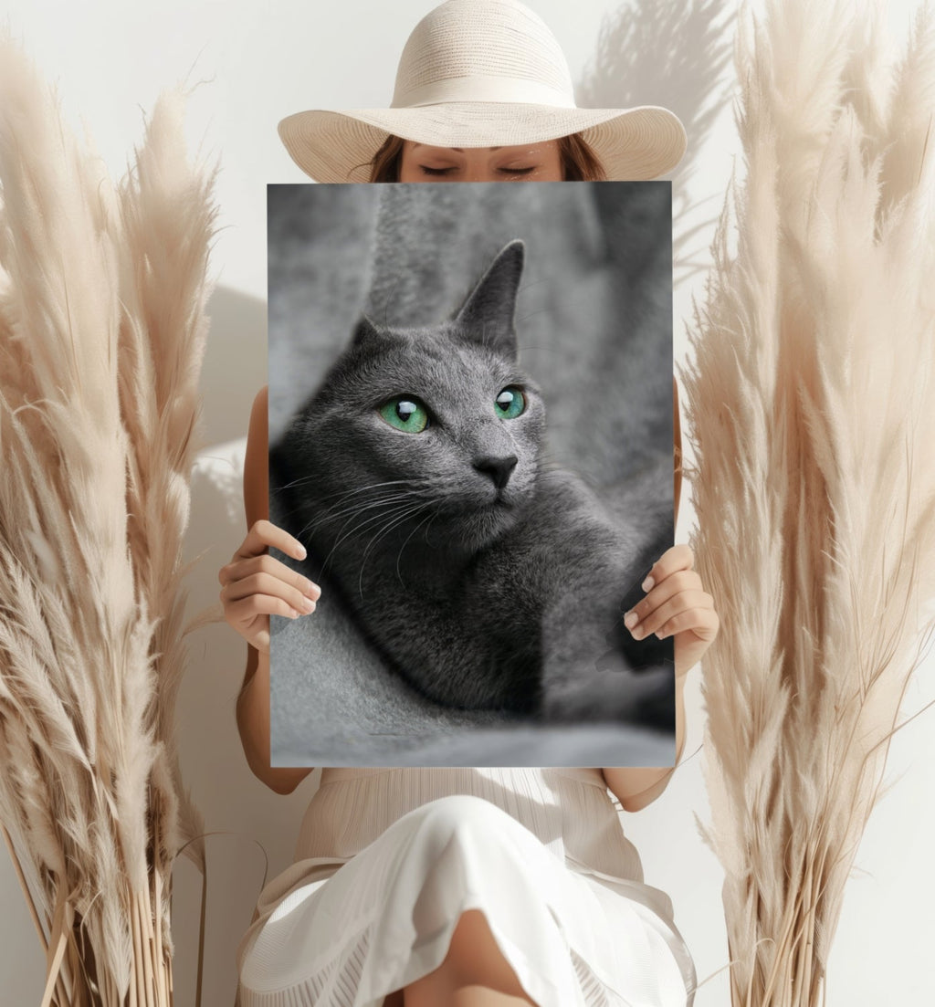 Cat Aluminum Print