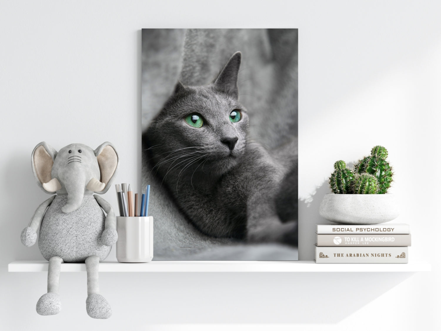 Cat Aluminum Print