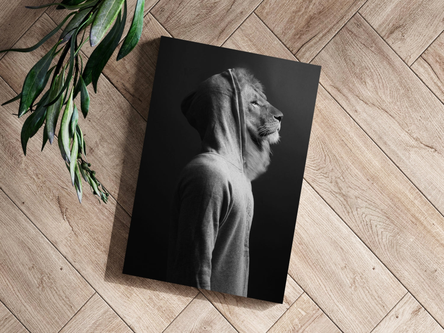 Lion Aluminum Print