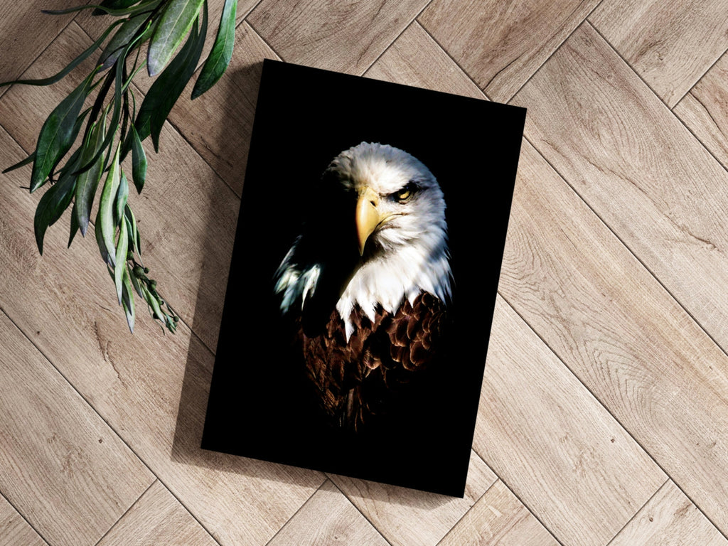 Eagle Aluminum Print