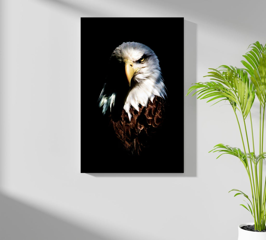 Eagle Aluminum Print
