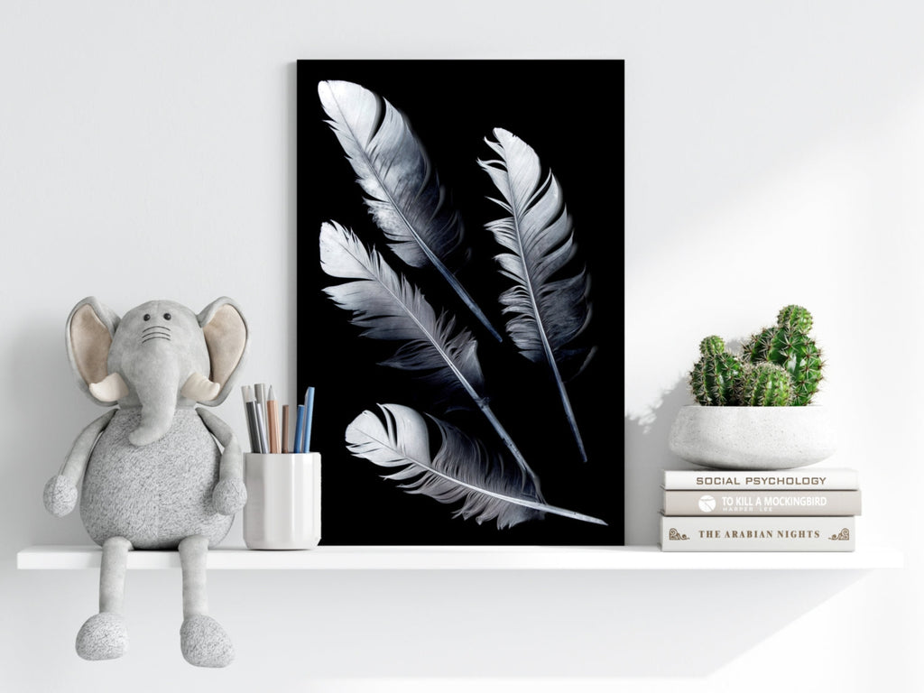 Feathers Aluminum Print