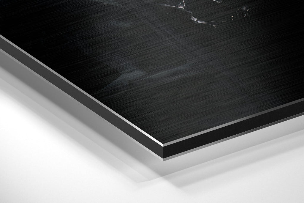 Batman  Brushed Aluminium Dibond Wall Art