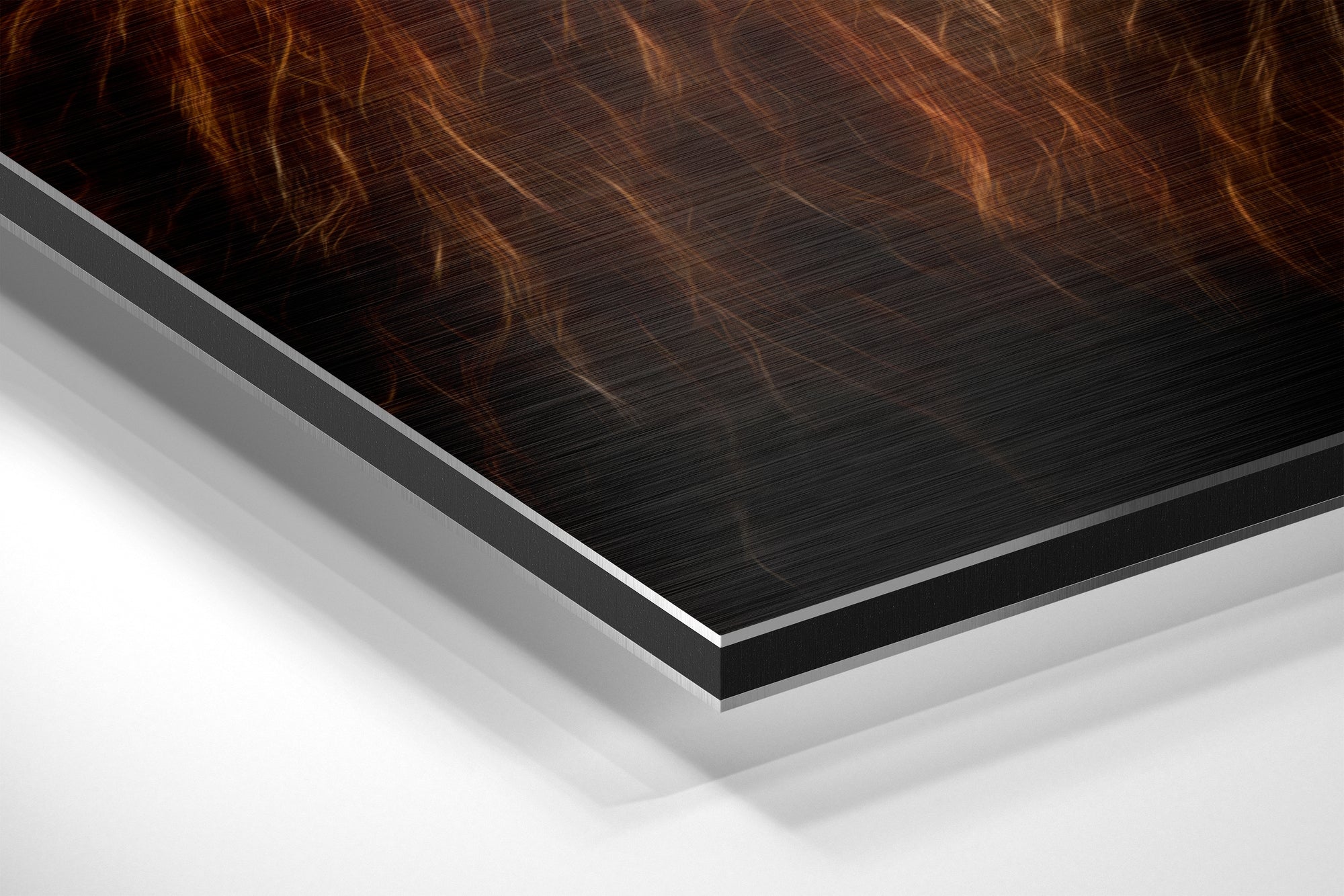 Lion Brushed Aluminium Dibond Wall Art