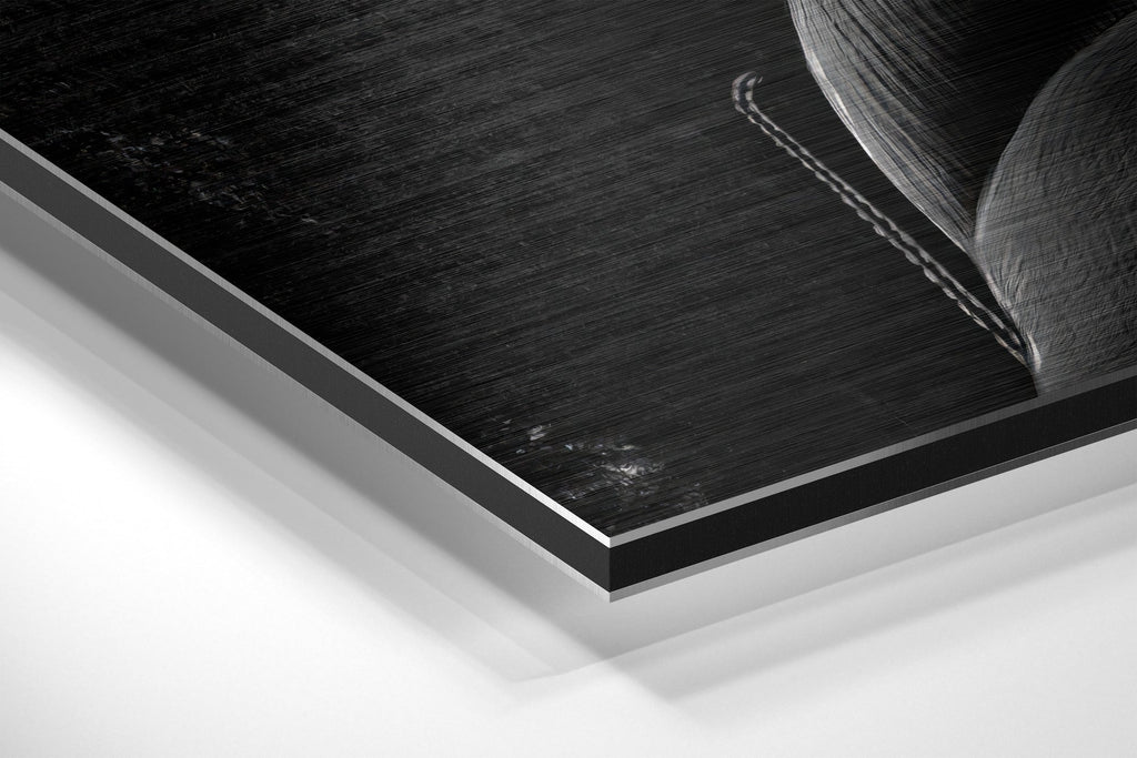 Joker Brushed Aluminium Dibond Wall Art
