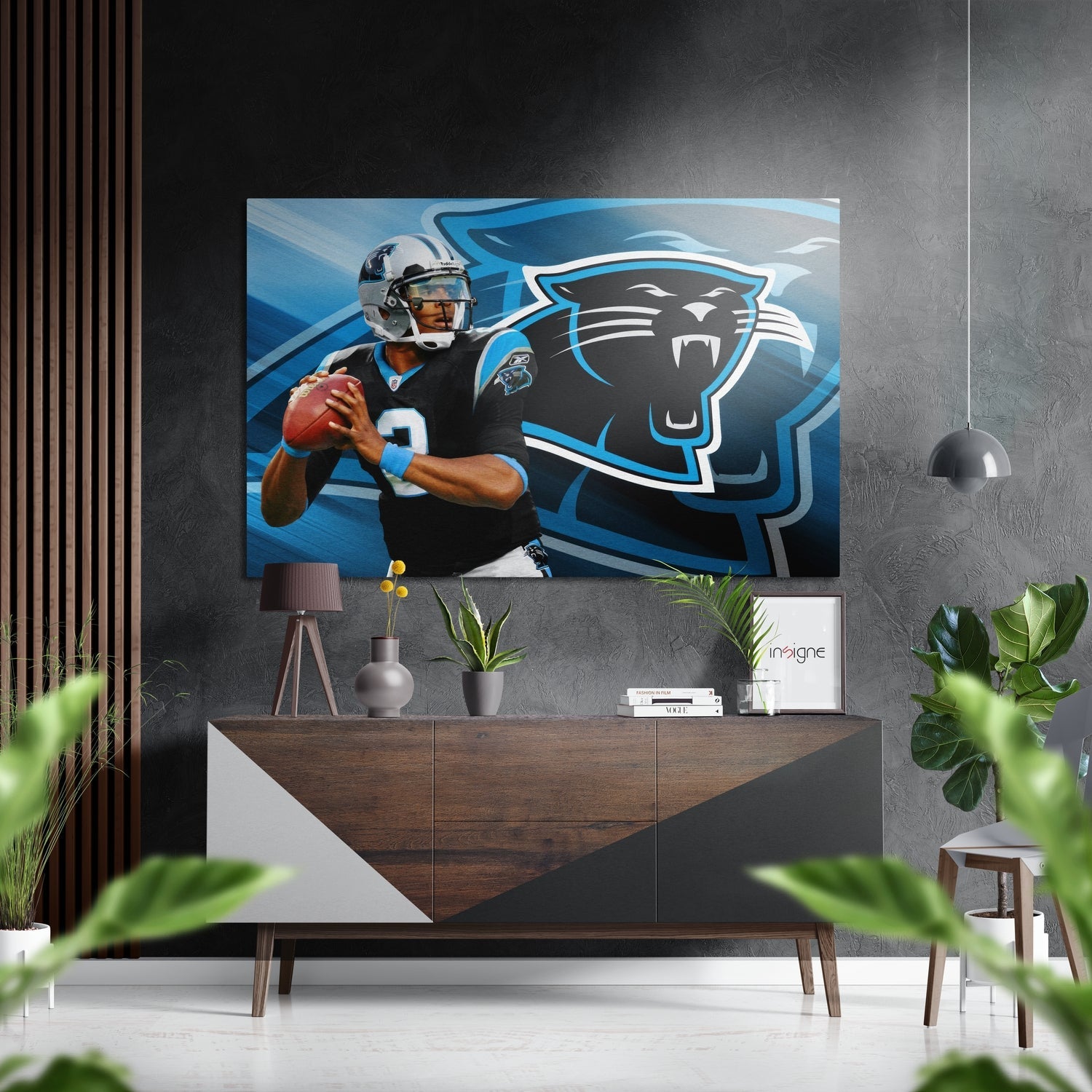 Carolina Panthers Brushed Aluminium Dibond Wall Art