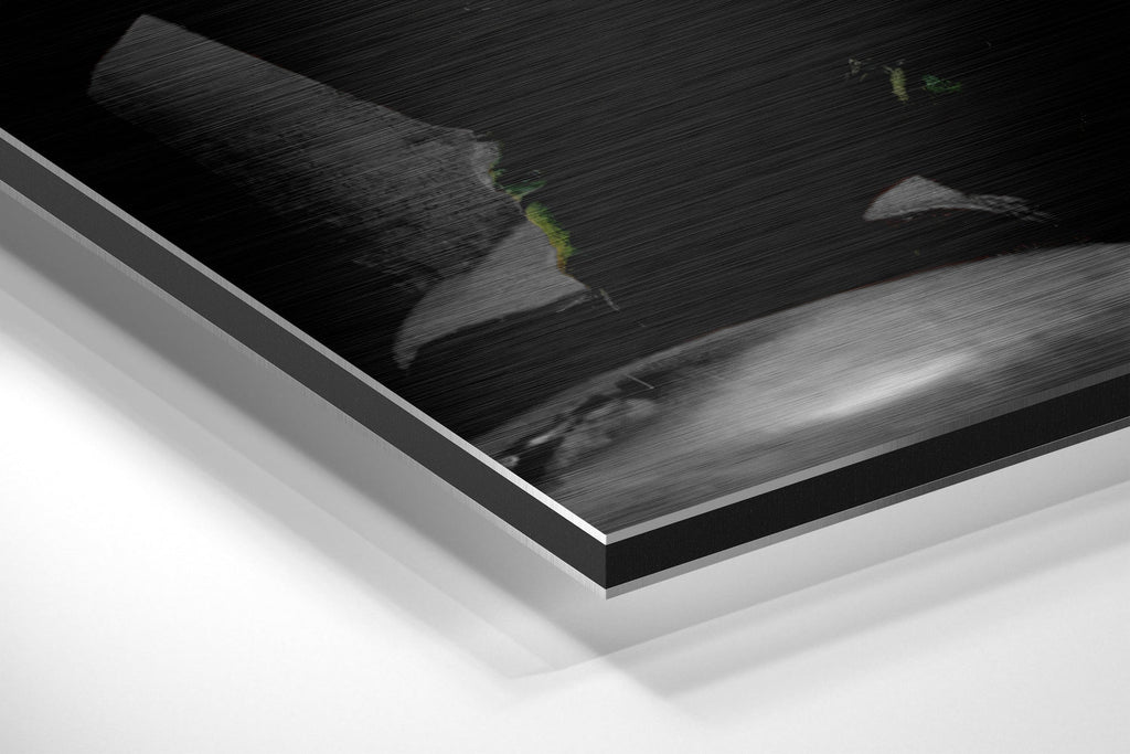 Marilyn, Elvis, Humphrey, James Brushed Aluminium Dibond Wall Art