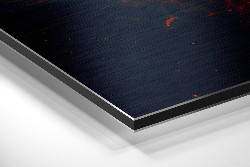 Fire Lion  Brushed Aluminium Dibond Wall Art
