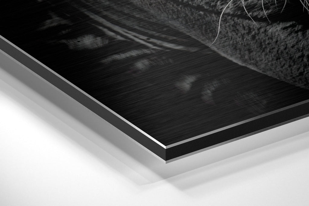 Eye of the Tiger Brushed Aluminium Dibond Wall Art