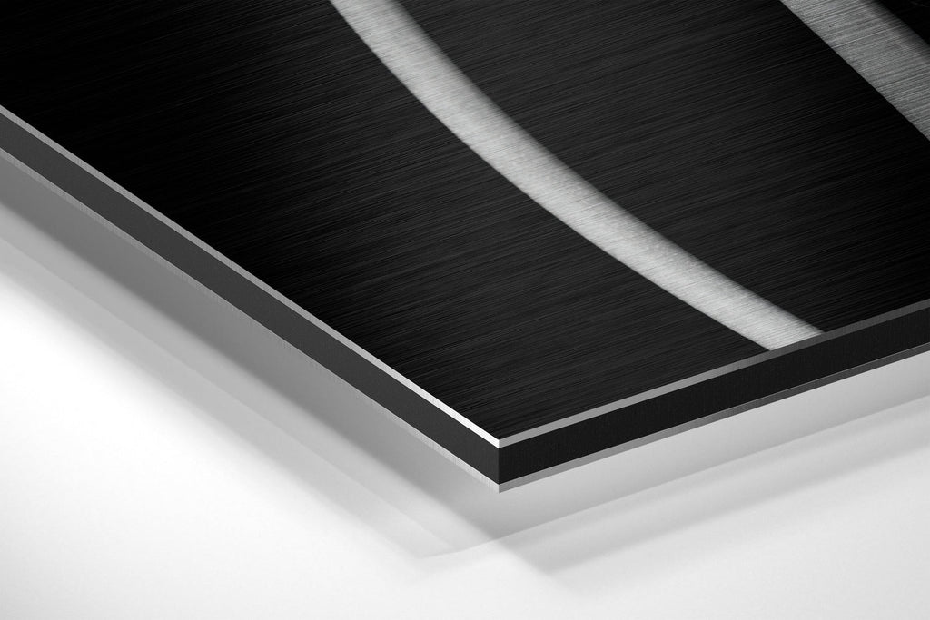 Verge of Blooming Brushed Aluminium Dibond Wall Art