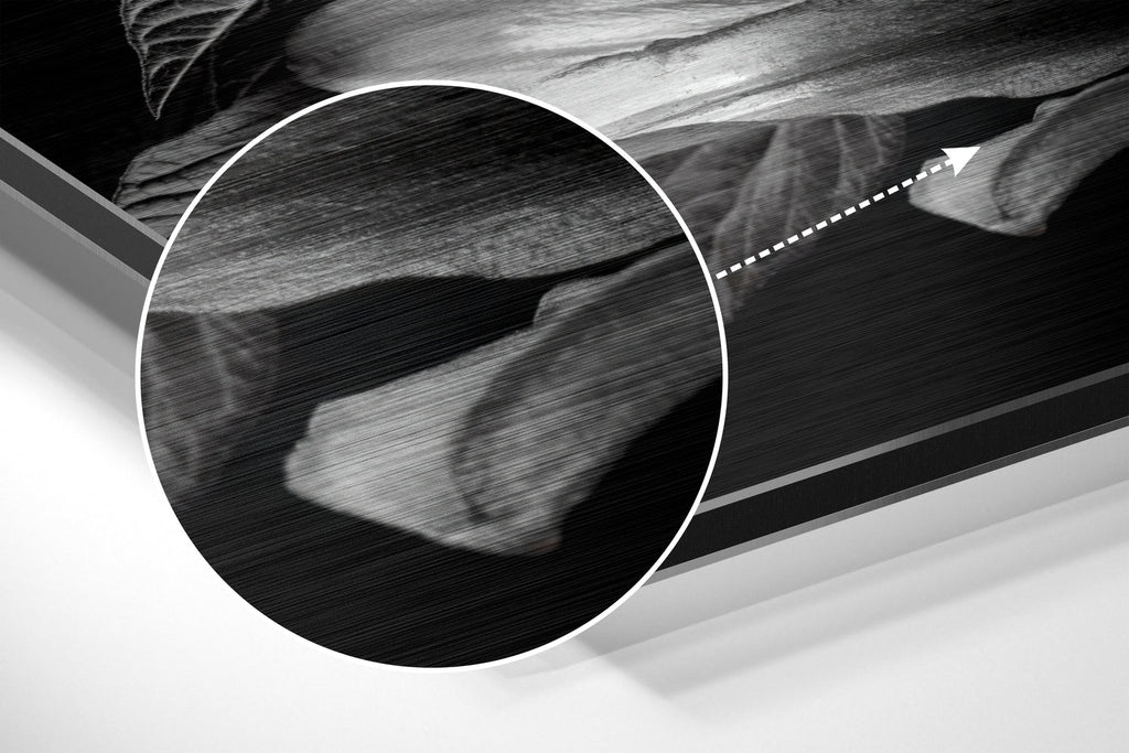 Lillium Brushed Aluminium Dibond Wall Art