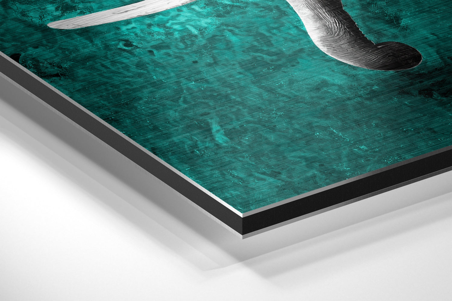 Elephant Brushed Aluminium Dibond Wall Art