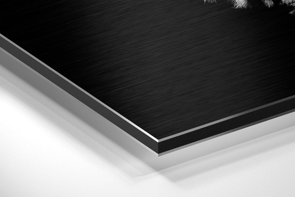 Zebra Brushed Aluminium Dibond Wall Art
