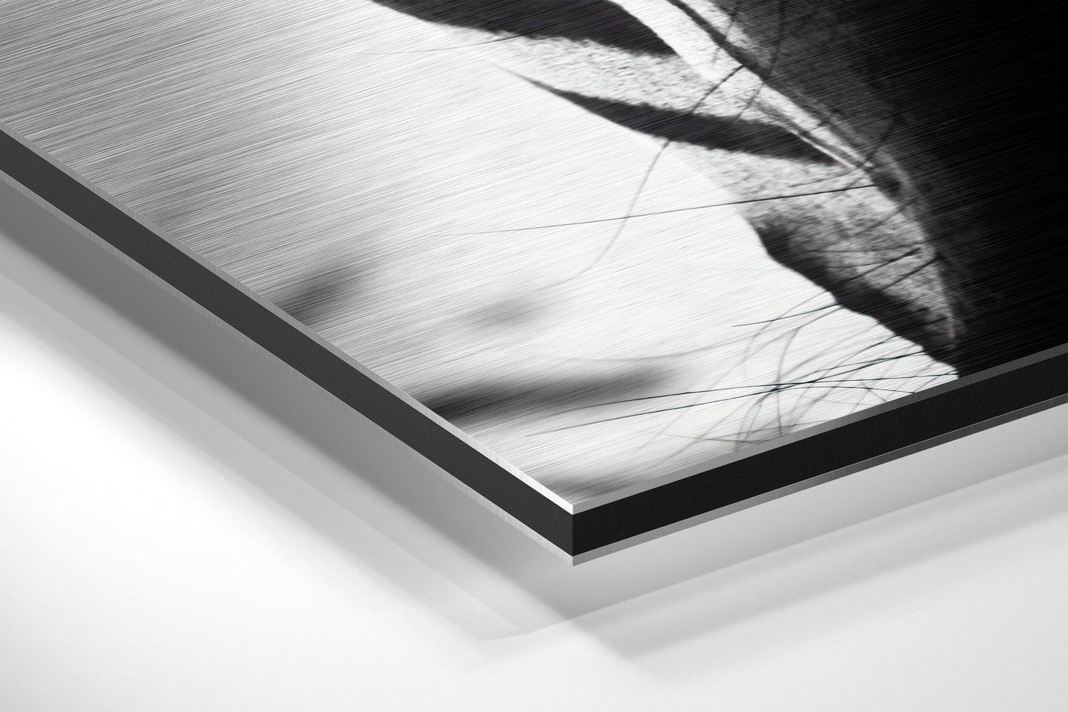 Zebra Brushed Aluminium Dibond Wall Art