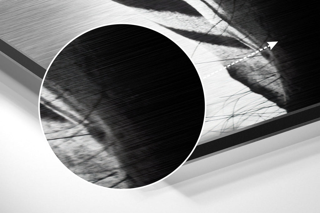 Zebra Brushed Aluminium Dibond Wall Art
