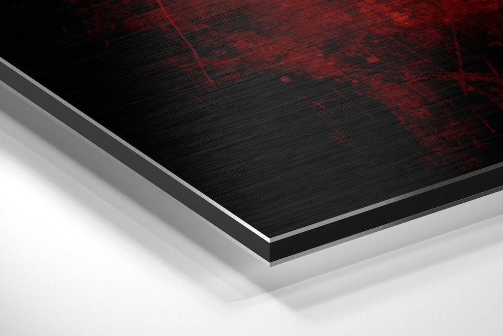 Skull Brushed Aluminium Dibond Wall Art