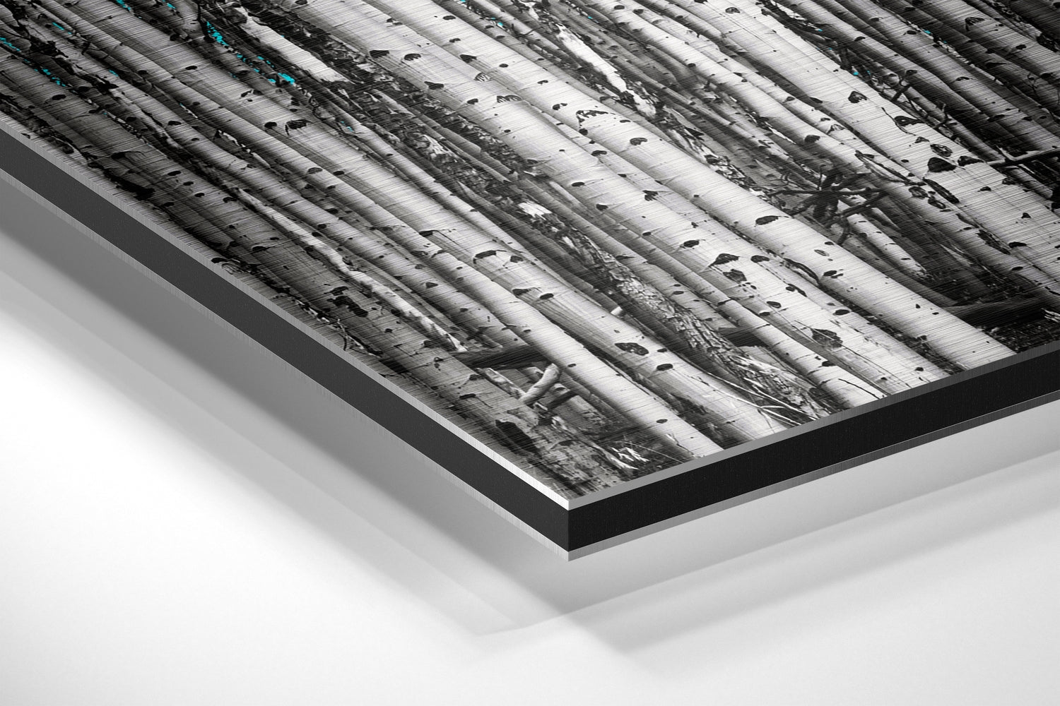 Forest Brushed Aluminium Dibond Wall Art