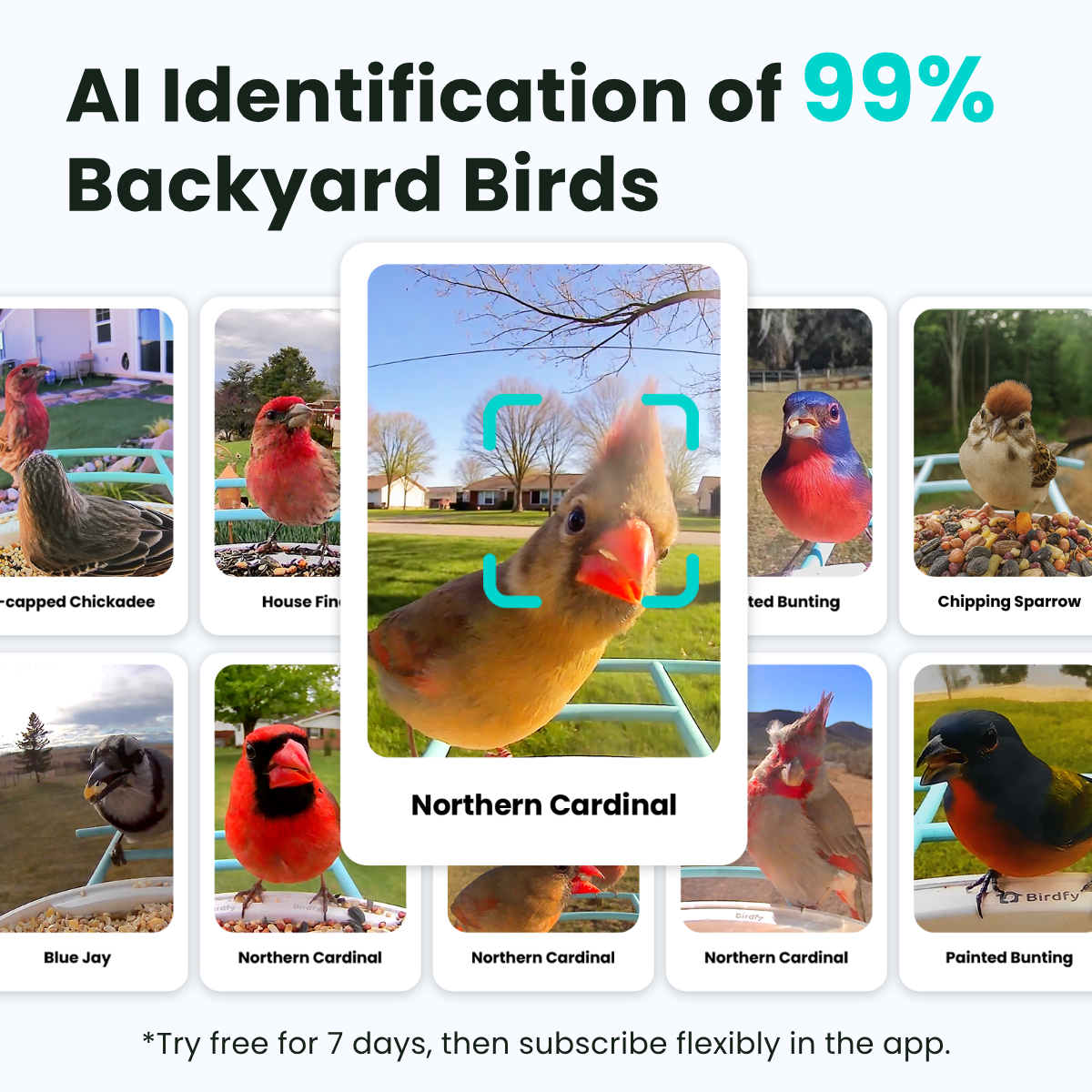Birdfy Feeder - Smart Bird Feeder with Camera Standard Kit
