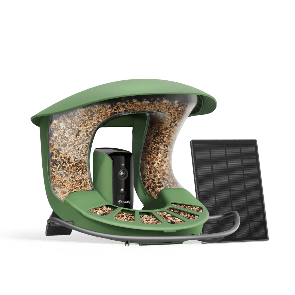 Birdfy Feeder 2 - Smart Bird Feeder