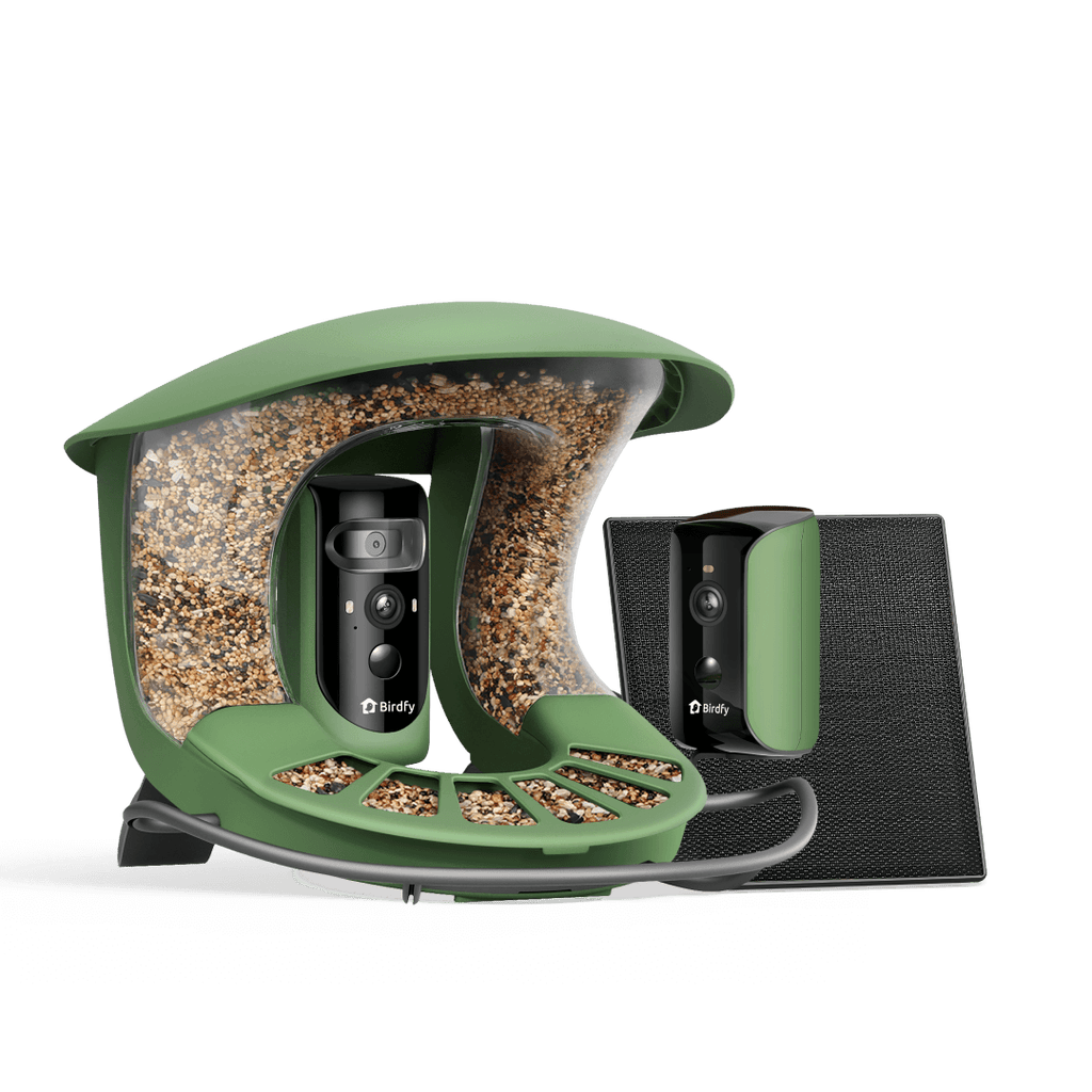 Birdfy Feeder 2 Duo - Triple-Lens Smart Bird Feeder with Cameras