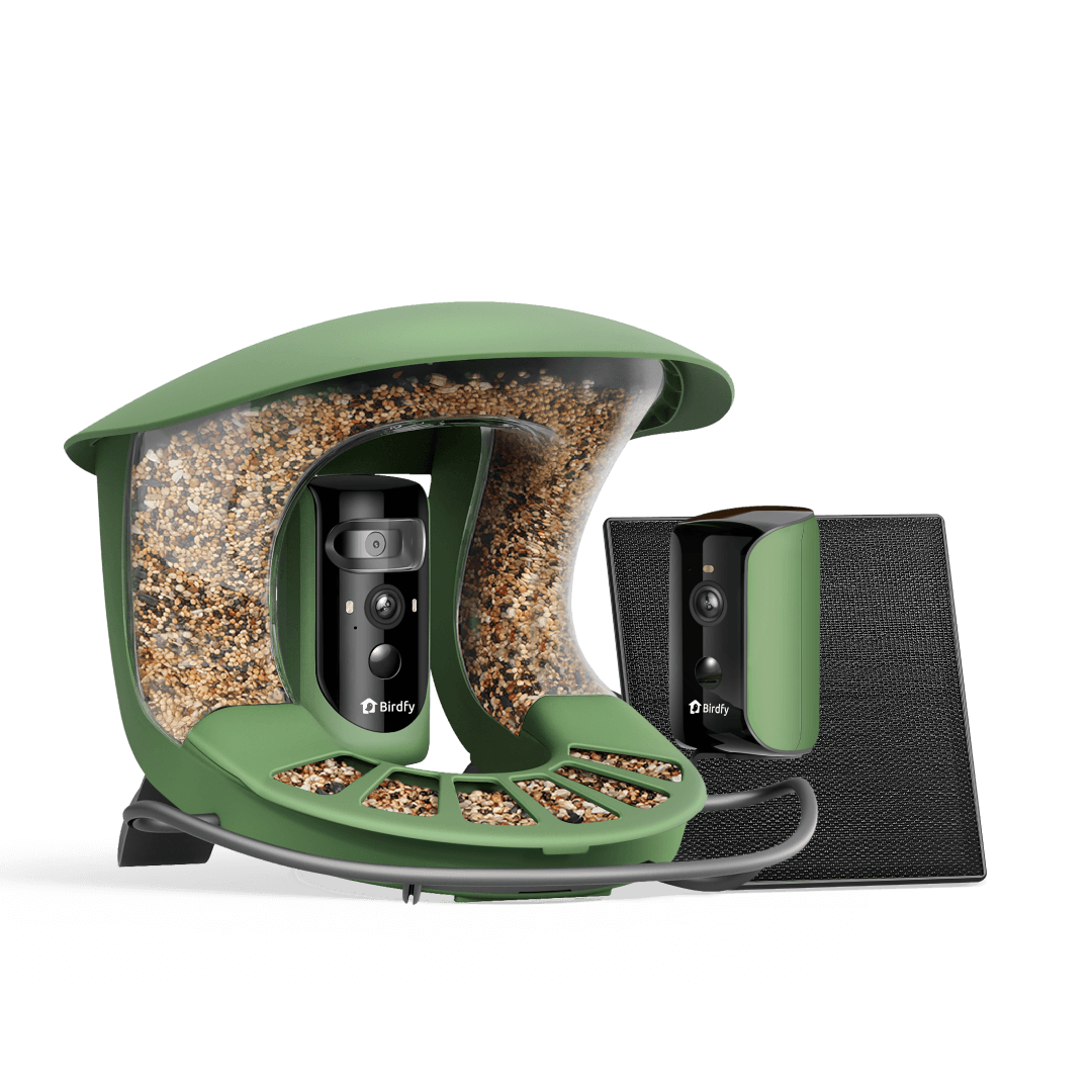 Birdfy Feeder 2 Duo - Triple-Lens Smart Bird Feeder with Cameras