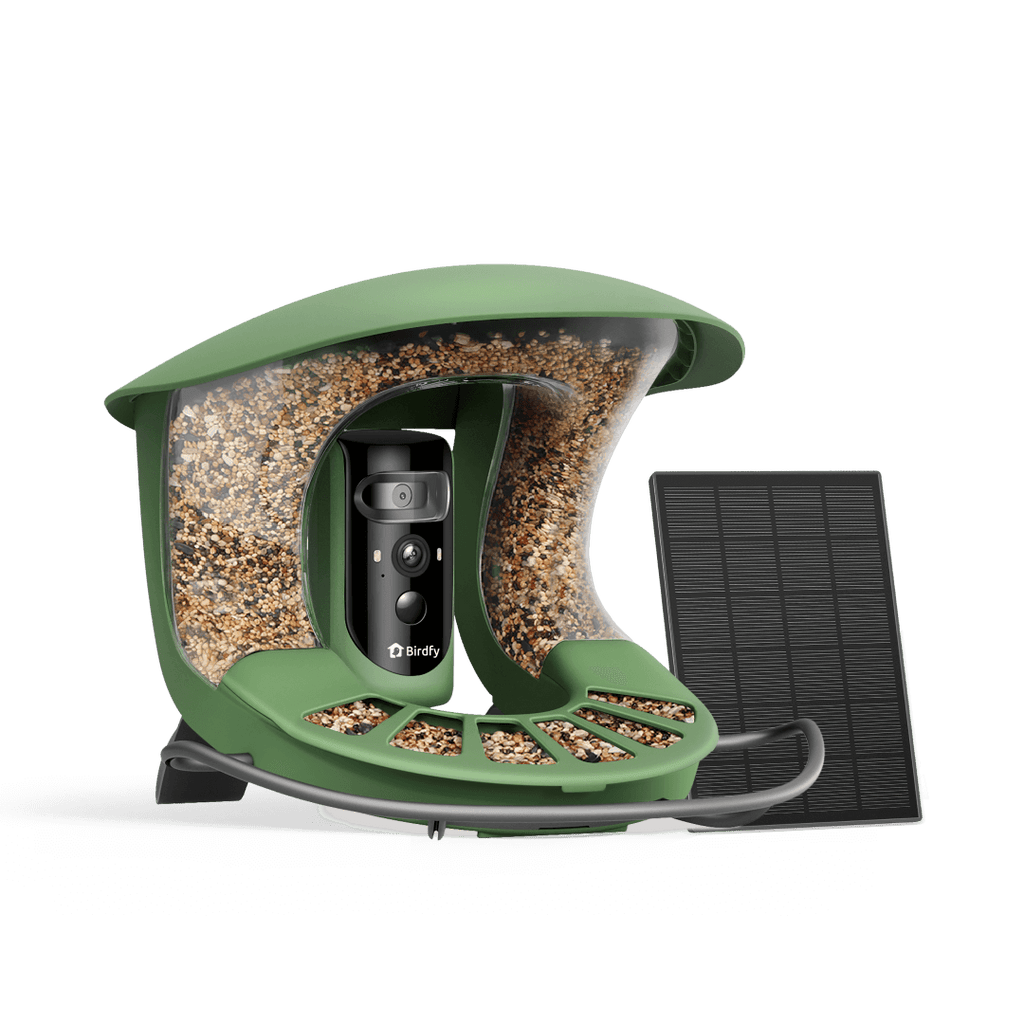 Birdfy Feeder 2 Pro - Dual-Lens Smart Bird Feeder with Camera