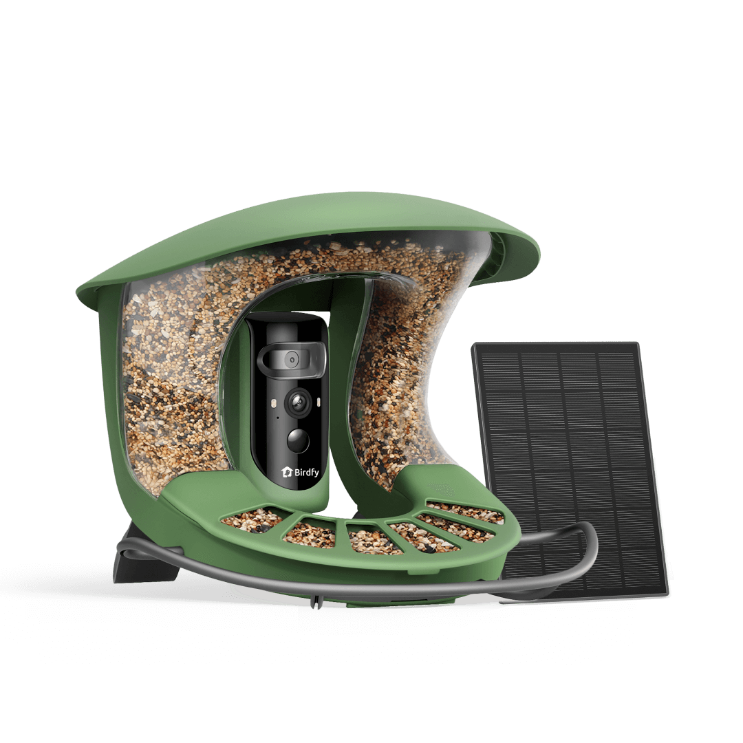 Birdfy Feeder 2 Pro - Dual-Lens Smart Bird Feeder with Camera