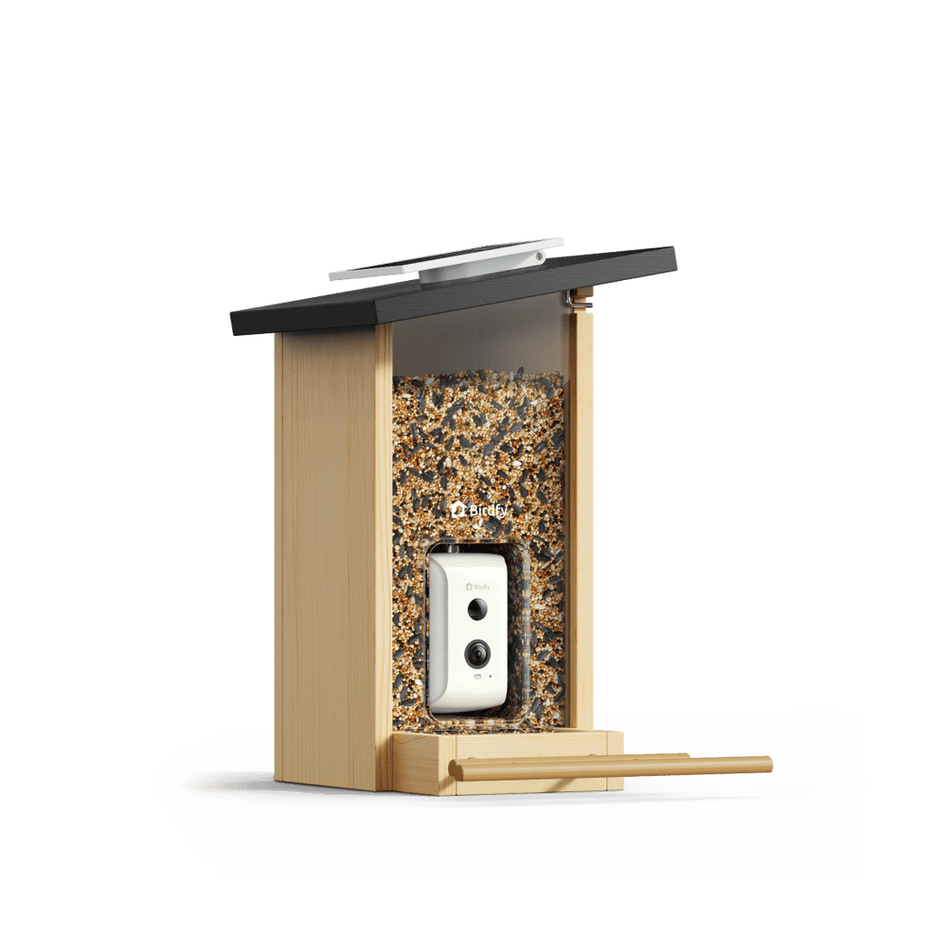 Birdfy Feeder Ebony - Wooden Smart Bird Feeder