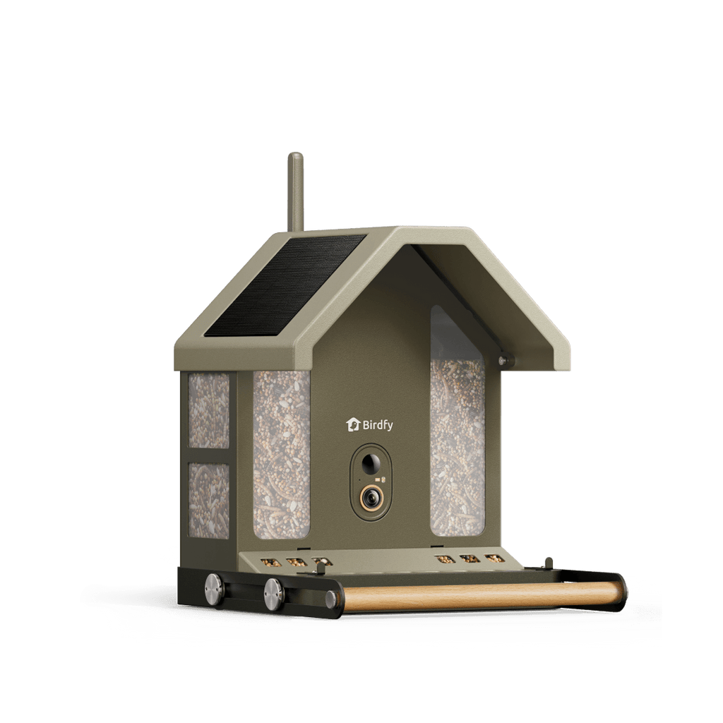 Birdfy Feeder Metal 2 4K - Smart Metal Feeder with Camera