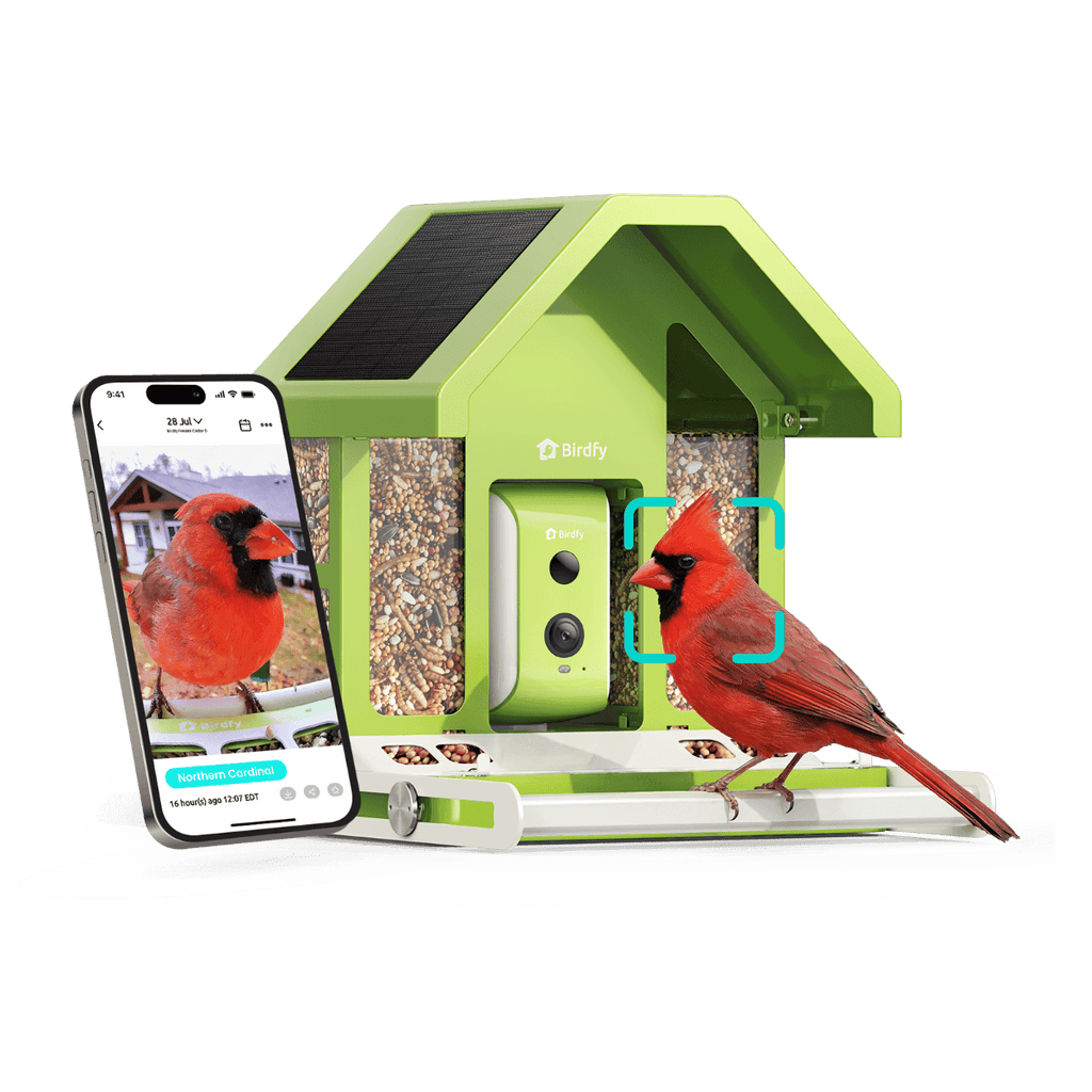 Birdfy Feeder Metal - Smart Metal Feeder with Camera