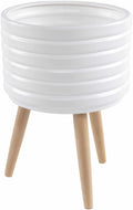 Apitong Decorative Accent - Clearance