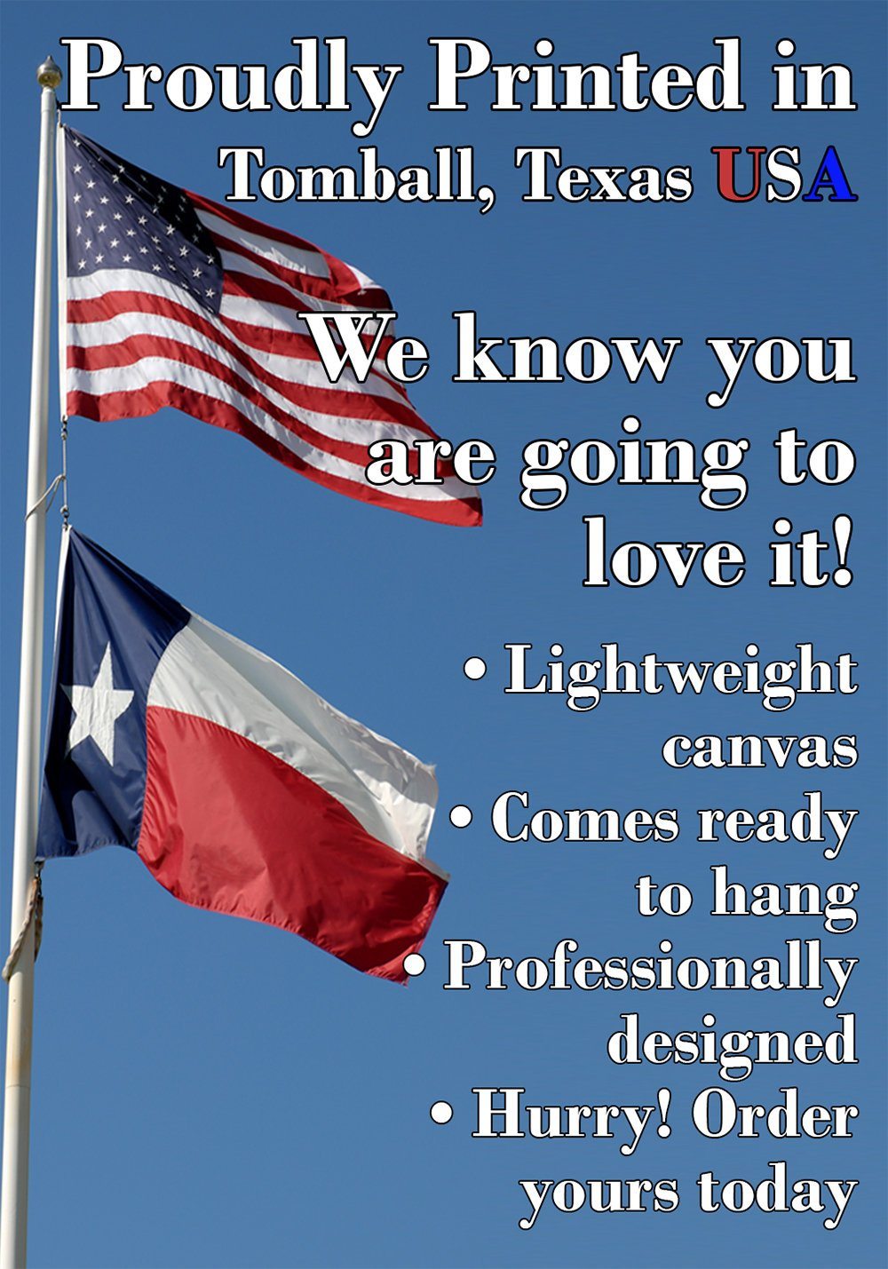 Pay Toilet - Canvas