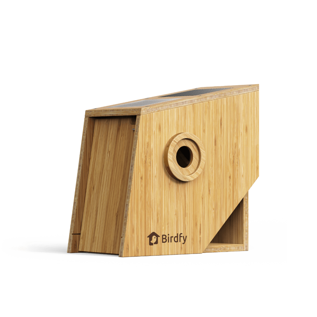 Birdfy Nest Polygon - Smart Birdhouse with Camera, Brown