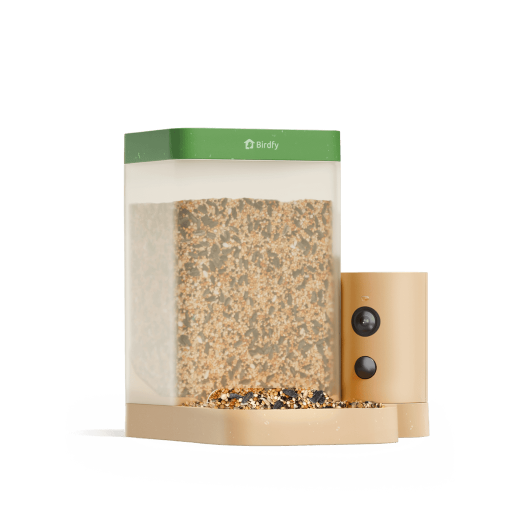 Birdfy Feeder Rookie - Beginner-Friendly Smart Bird Feeder Green