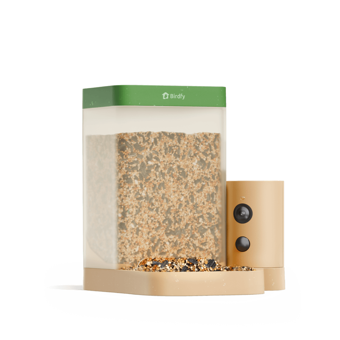 Birdfy Feeder Rookie - Beginner-Friendly Smart Bird Feeder Green