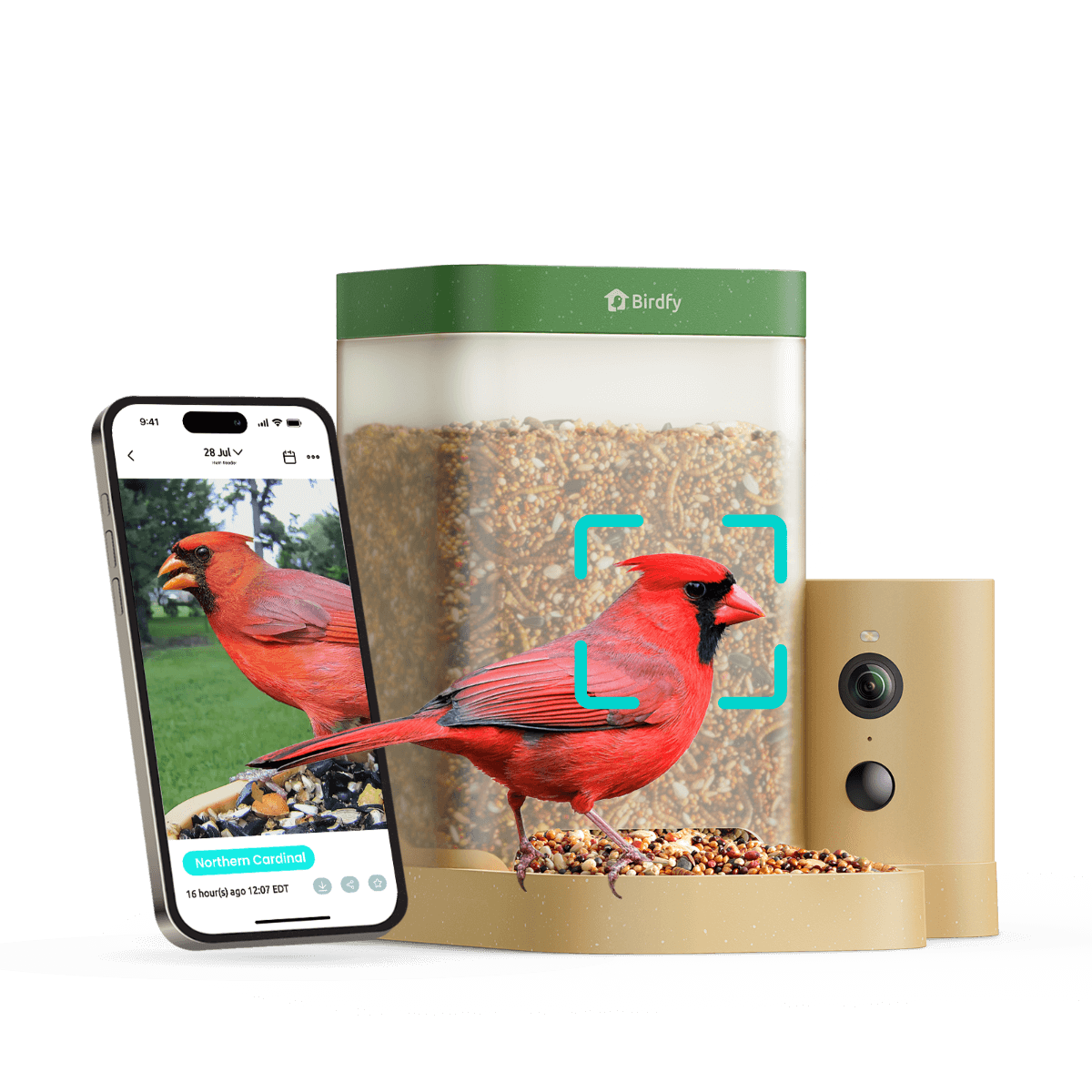 Birdfy Feeder Rookie - Beginner-Friendly Smart Bird Feeder Green