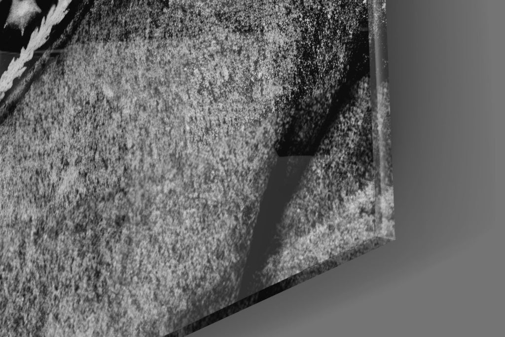 Ataturk  Glass Wall Art