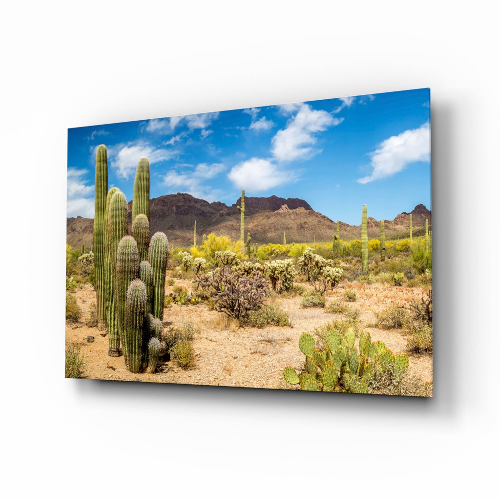 Cactuses Glass Wall Art