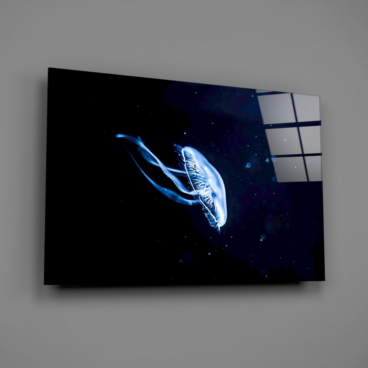 Jellyfish Glass Wall Art