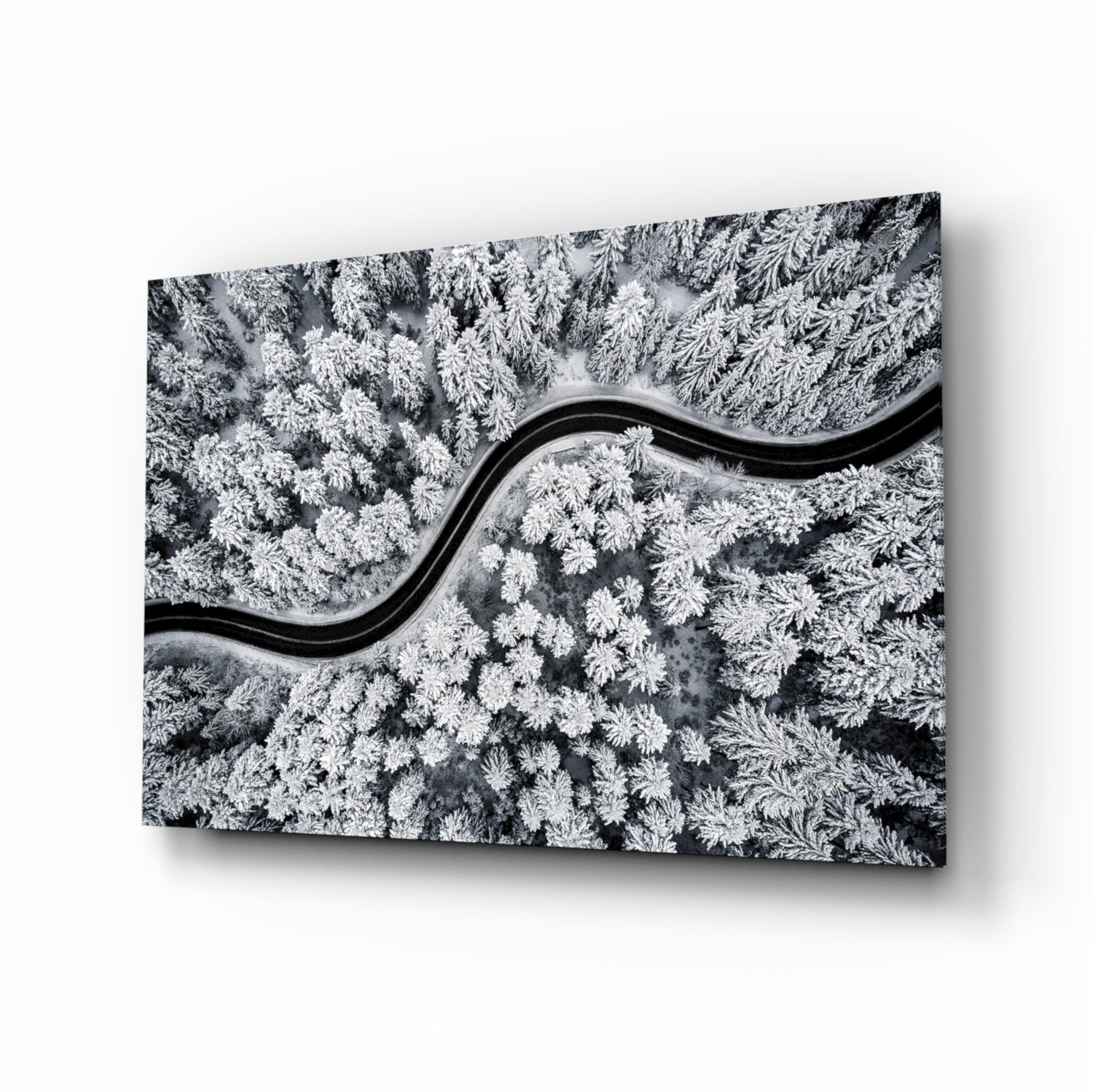 Forest Landscape Glass Wall Art