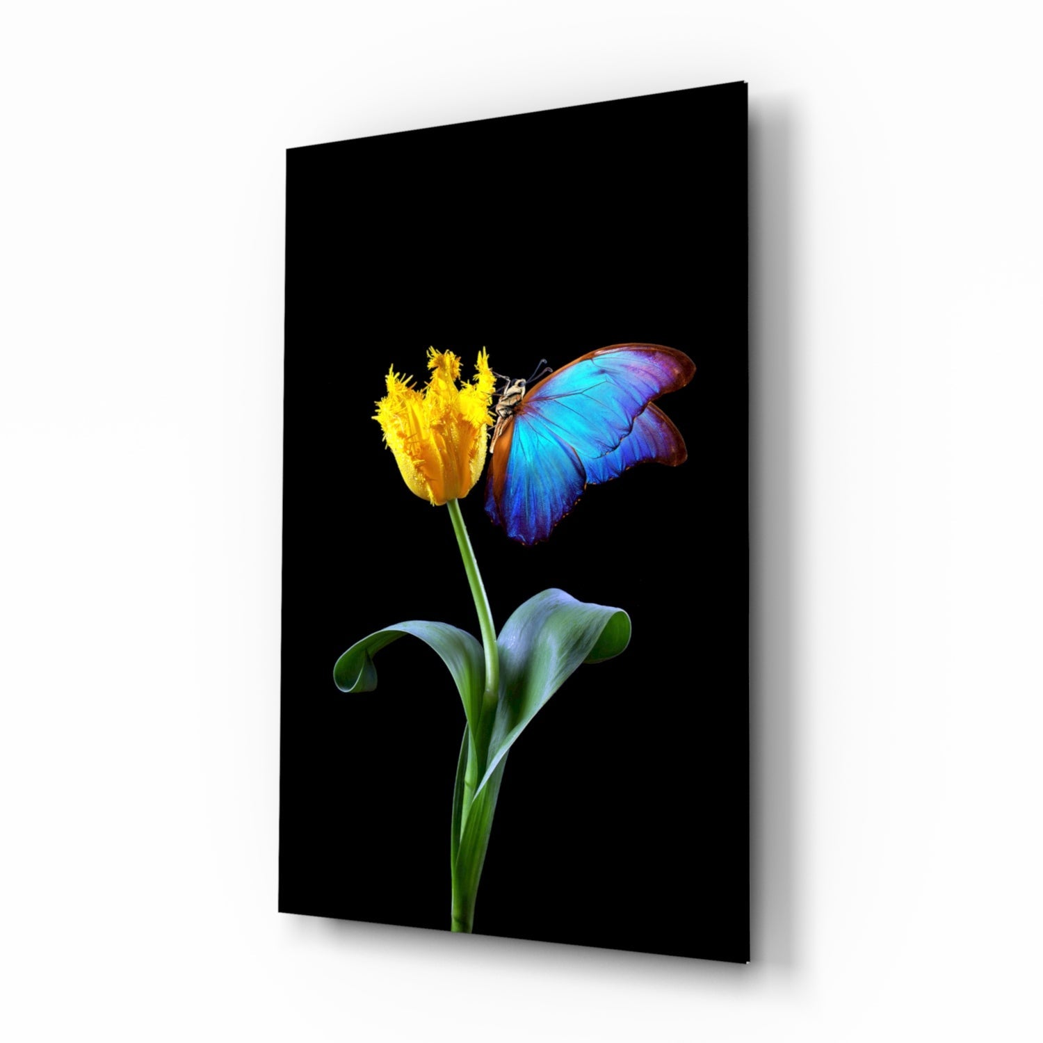 Abstract Art Glass Wall Art