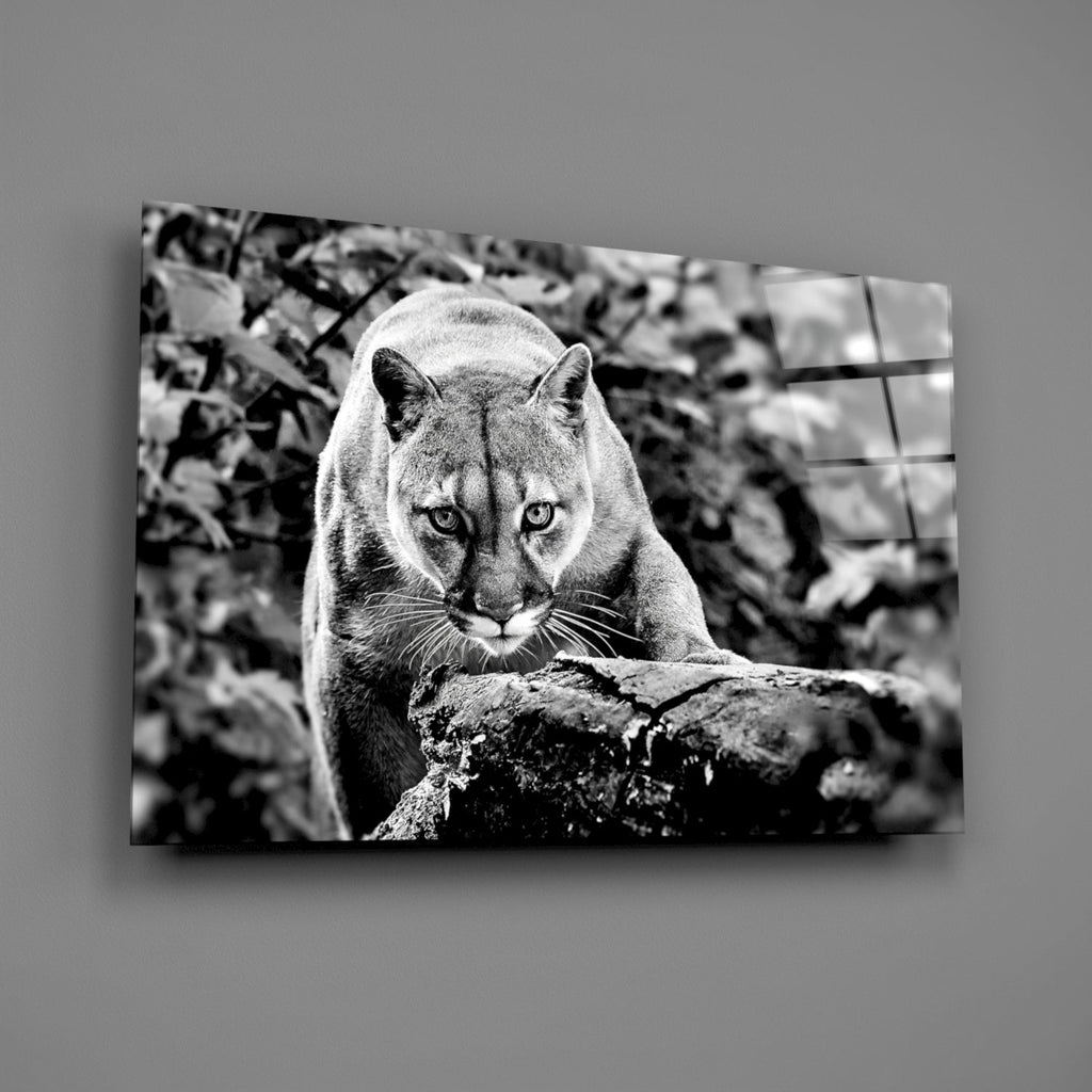 Puma Glass Wall Art