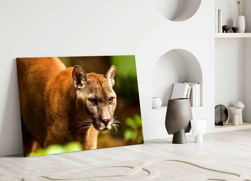 Puma Glass Wall Art
